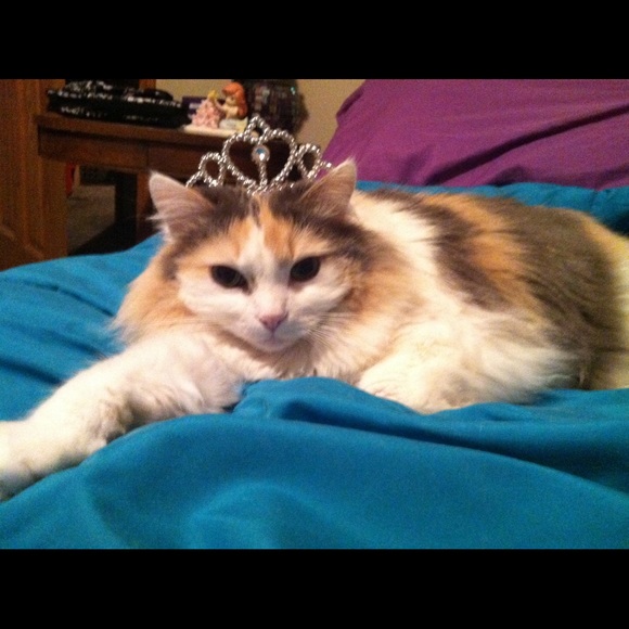 Meet your Posher, Kara - Picture 7 of 13